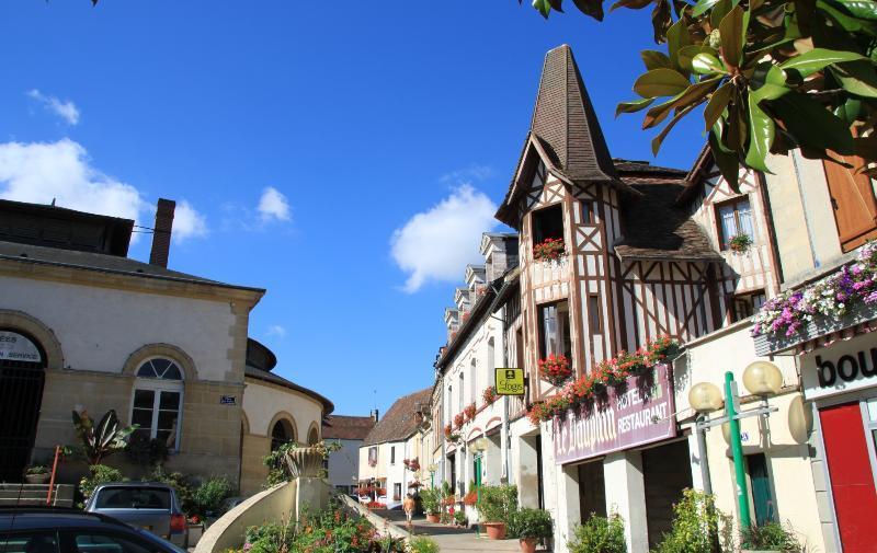 Logis Hotel Et Restaurant Du Dauphin Sées Exterior foto